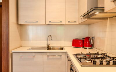 Logement:&nbsp;Gaggia 205.1