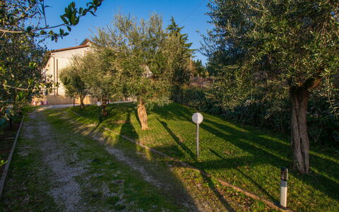 Tre Fontane: Herbe, Feuille, Branche, Arbuste, Jardin, Lumière Du Soleil, Brindille, Matin, Pelouse, Aménagement Paysager