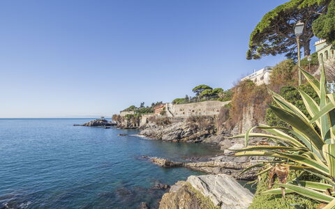 Focaincontromano Seaview, Genova: Bleu, L'Eau, Plan D'Eau, Côte, Cotiers Et Relief Océaniques, Mer, Roche, Horizon, Été, Promontoire