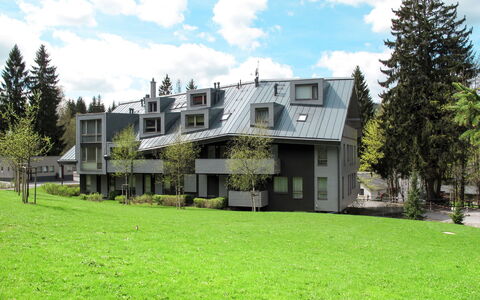 Harrachov Resident a: Domicile, Zone Résidentielle, Maison, Chalet, Biens, Banlieue, Cour, Siding, Aménagement Paysager