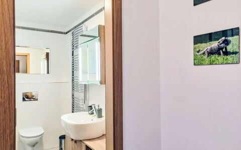 Harrachov Resident a: Design Intérieur, Sol, Sol, Bois, Pièce, Salle De Bains, Plafond, Éclairage, Meubles, Luminaire Plomberie