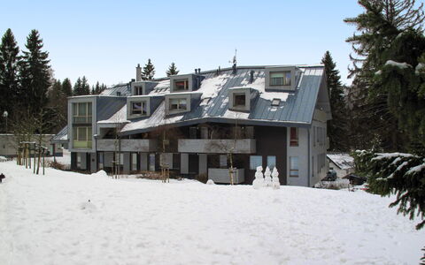 Harrachov Resident a: Domicile, L'Hiver, Gelé, Neige