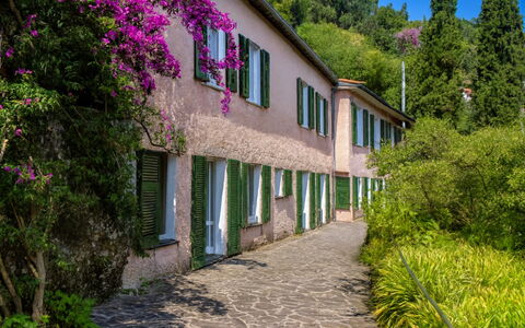 Portofino: Arbuste, Printemps, Jardin, Passerelle