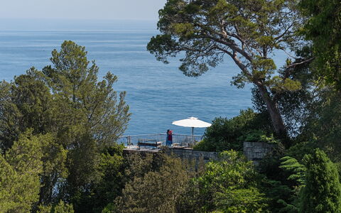 Portofino: Arbre, Feuille, Végétation, Cotiers Et Relief Océaniques, Côte, Ombre, Vacances, Mobilier De Jardin, Tropiques