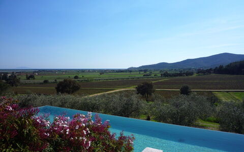 Castelprile: Bleu, Piscine, Biens, Ferme, Plantation, Aménagement Paysager, Eco Hôtel, Hacienda, Villa, Recours