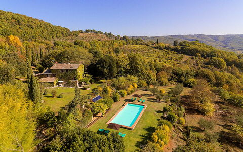 Artemisia: Arbuste, Biens, Piscine, Eco Hôtel, Jardin, Chalet, Ferme, Hacienda, Recours, Aménagement Paysager