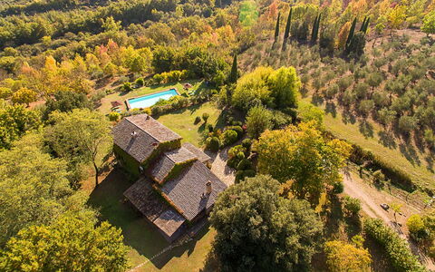 Artemisia: Maison, Biens, Zone Rurale, Domicile, Lot Terre, Chalet, Jardin, Eco Hôtel, Ferme, Plantation