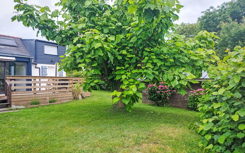 Maison de Kergoff: Feuille, Suppression Des Plantes Ligneuses, Jardin, Pelouse, Arrière-Cour, Cour, Ombre, Aménagement Paysager