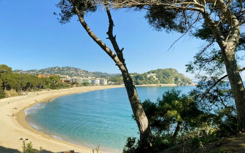 Odisea: Bleu, Plan D'Eau, Arbre, Côte, Environnement Naturel, Plage, Cotiers Et Relief Océaniques, Rive, Banque, Mer