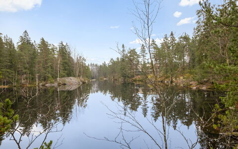 Korpilammenhuvilat 7A: L'Eau, Ressources En Eau, La Nature, Arbre, Environnement Naturel, Paysage Naturel, Réflexion, Forêt, Région Sauvage, Banque