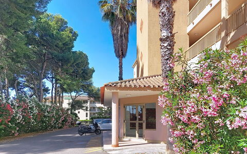 Palmier: Zone Résidentielle, Appartement, Quartier, Condominium, Domicile, Biens, Balcon, Banlieue, Ombre, Hacienda