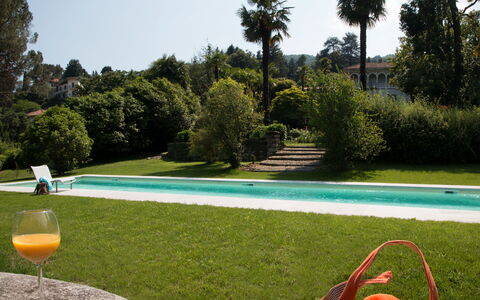 Romantica 16: Piscine, Arbuste, Loisir, Jardin, Pelouse, Recours, Hacienda, Aménagement Paysager, Cour, Ombre