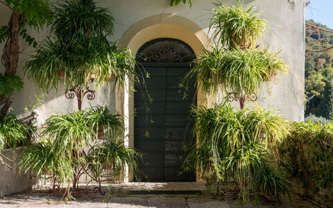 Galero: Végétation, Propriété, Cambre, Bâtiment, Architecture, Maison, Botanique, Arbre, Immobilier, Porte