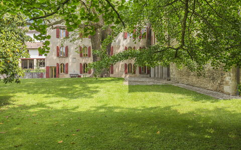 Jasmine Villa: Arbuste, Jardin, Pelouse, Printemps, Biens, Cour, Aménagement Paysager, Hacienda, Arrière-Cour, Parc