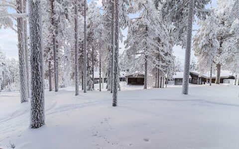 Kelokaltiokylä Mökki 58: Neige, Branche, L'Hiver, Arbre, Bois, Brindille, Gelé, Tronc, Matin, Gel