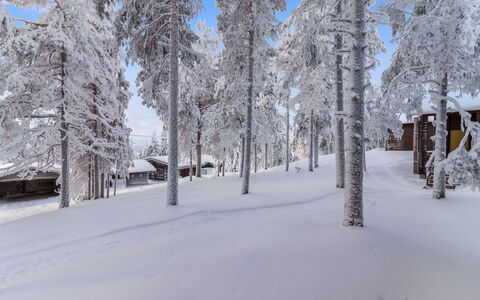 Kelokaltiokylä Mökki 58: Neige, L'Hiver, Branche, Arbre, Bois, Brindille, Gelé, Gel, Tronc, Chalet