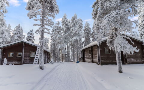 Kelokaltiokylä Mökki 58: Neige, L'Hiver, Arbre, Branche, Bois, Chalet, Maison, Domicile, Gelé, Cabane En Rondins