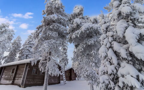 Kelokaltiokylä Mökki 58: Neige, L'Hiver, Arbre, Branche, Bois, Chalet, Paysage, Maison, Gelé, Domicile