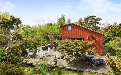 Ringenäs: Arbuste, Chalet, Maison, Lot Terre, Domicile, Jardin, Zone Rurale, Couverture De Sol, Printemps