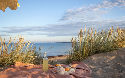 Ringenäs: Été, Plage, Mer, Pique-Nique, Côte, Océan, Le Sable, Rive, Chaleur, Mobilier De Jardin
