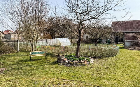 Mit Großem Garten: Arbuste, Jardin, Pelouse, Arrière-Cour, Cour, Aménagement Paysager, Ombre, Sol, Parc