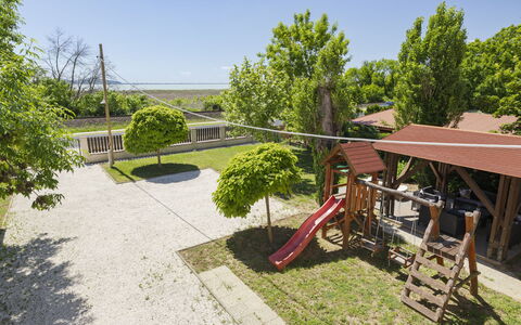 Petka: Arbuste, Jardin, Ombre, Aménagement Paysager, Pelouse, Cour, Biens, Arrière-Cour, Hacienda