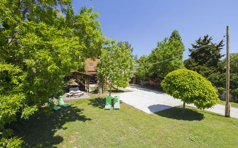 Petka: Arbre, Arbuste, Jardin, Pelouse, Ombre, Aménagement Paysager, Cour, Parc, Arrière-Cour, Hacienda