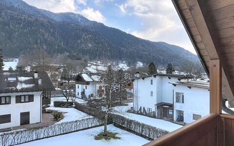 Fresia: Arbuste, Jardin, Chalet, Ombre, Aménagement Paysager, Cour, Arrière-Cour, Villa, Ferme, Plante D'Appartement