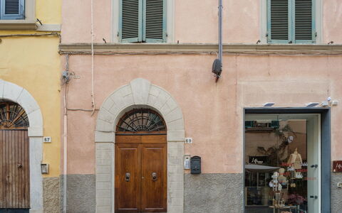 Sabine'S Apartment: Arbuste, Jardin, Chalet, Ombre, Aménagement Paysager, Cour, Arrière-Cour, Villa, Ferme, Plante D'Appartement