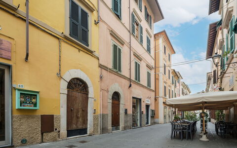 Sabine'S Apartment: Arbuste, Jardin, Chalet, Ombre, Aménagement Paysager, Cour, Arrière-Cour, Villa, Ferme, Plante D'Appartement