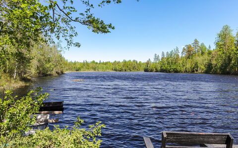 Piggsmåla: L'Eau, Ressources En Eau, Arbre, La Nature, Environnement Naturel, Cours D'Eau, Été, Paysage Naturel, Banque, Lac