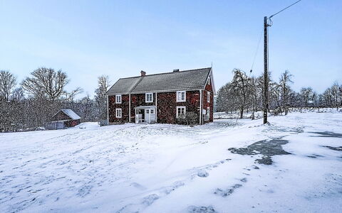 Piggsmåla: Arbuste, Jardin, Chalet, Ombre, Aménagement Paysager, Cour, Arrière-Cour, Villa, Ferme, Plante D'Appartement