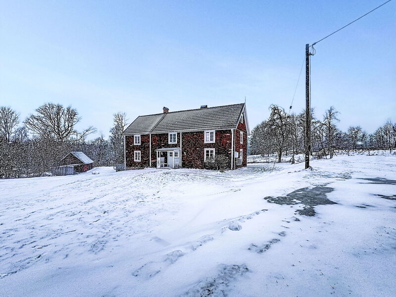 Piggsmåla