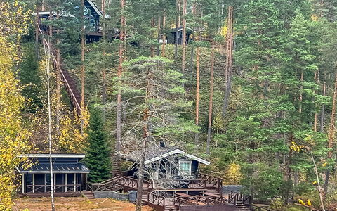 Villa Loisto: Arbre, Environnement Naturel, Bois, Forêt, Des Bois, Tronc, Réserve Naturelle, Jungle, Chalet