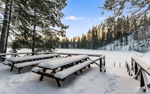 Villa Loisto: Neige, L'Hiver, Arbre, Bois, Branche, Extérieur Banc, Paysage, Gelé, Mobilier De Jardin, Table De Pique-Nique