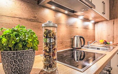 Logement:&nbsp;Alpenlodge Hochvogel 110.3
