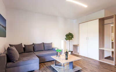 Logement:&nbsp;Alpenlodge Geißstein 110.9