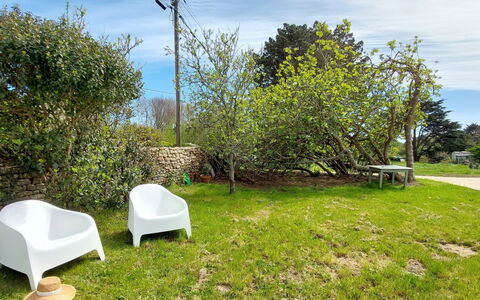 Magdalena: Feuille, Arbuste, Jardin, Couverture De Sol, Pelouse, Ombre, Mobilier De Jardin, Aménagement Paysager, Cour, Arrière-Cour