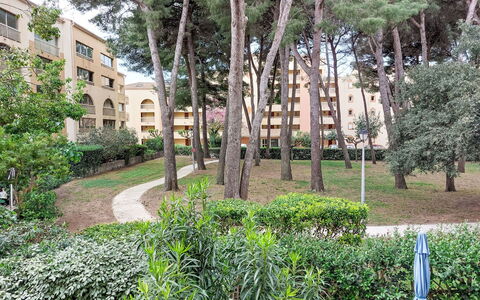 Mimosa: Zone Résidentielle, Arbuste, Maison, Domicile, Jardin, Biens, Ombre, Aménagement Paysager, Pelouse