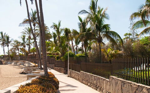 El Veril: Arbre, Tronc, Suppression Des Plantes Ligneuses, Tropiques, Passerelle, Côte, Plage, Ombre, Vacances