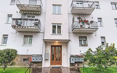 Livia: Arbuste, Zone Résidentielle, Domicile, Biens, Jardin, Pelouse, Aménagement Paysager, Cour, Manoir, Villa