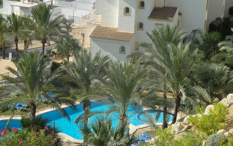 Altea Dorada: Piscine, Végétation, Propriété, Recours, Palmier, Arbre, Bleu Azur, Arecales, Vacances, Hôtel