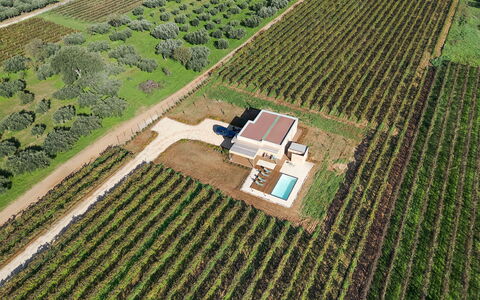 Mami: Plantation, Plaine, Lot Terre, Agriculture, Champ, Vue Du Ciel, Biens, Aménagement Paysager, Photographie Aérienne, Jardin