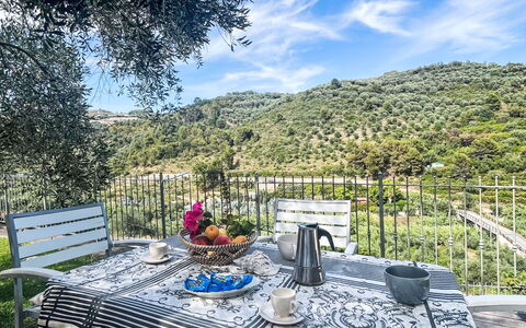 Micuzzo: Meubles, Mobilier De Jardin, Chaise, Tableau De Plein Air, Table Cuisine Et Salle A Manger, Patio, Restaurant, Eco Hôtel, Balcon, Table Basse