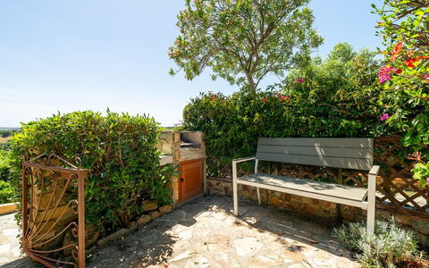 Casetta nel Blu: Arbuste, Jardin, Pot De Fleur, Communauté Des Plantes, Meubles, Printemps, Mobilier De Jardin, Extérieur Banc, Aménagement Paysager