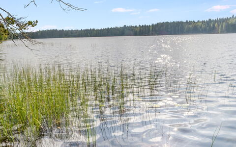 Kuikkaranta: L'Eau, Ressources En Eau, Plan D'Eau, Environnement Naturel, La Nature, Le Marais, Paysage Naturel, Banque