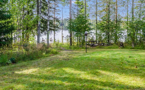 Kuikkaranta: Vert, Herbe, Arbre, Environnement Naturel, Feuille, Végétation, Paysage Naturel, Été, Lot Terre