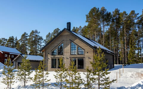 Fjällhemmet: Bois, Chalet, Domicile, Maison, Toit, Siding, L'Hiver, Neige, Gelé, Pente