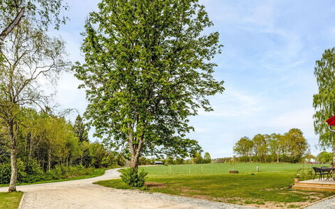 Hönetorpet: Feuille, Arbre, La Nature, Branche, Vert, Herbe, Plaine, Lot Terre, Tronc, Suppression Des Plantes Ligneuses