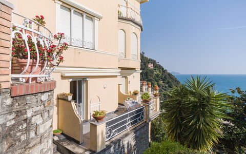 Laccadiva: Mer, Balcon, Domicile, Appartement, Océan, Côte, Eco Hôtel, Recours, Plante D'Appartement, Hôtel